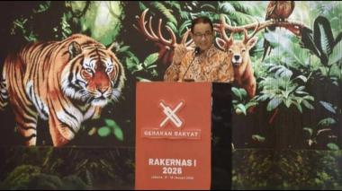 Deforestasi Legal Tinggi di Sumatra: Ancaman Alam yang Terabaikan