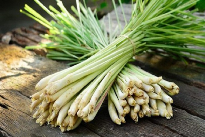Manfaat Serai Sebagai Obat Herbal untuk Mengobati Beragam Penyakit