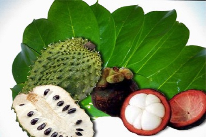 4 Jenis Obat Herbal Alami yang Terdaftar di BPOM