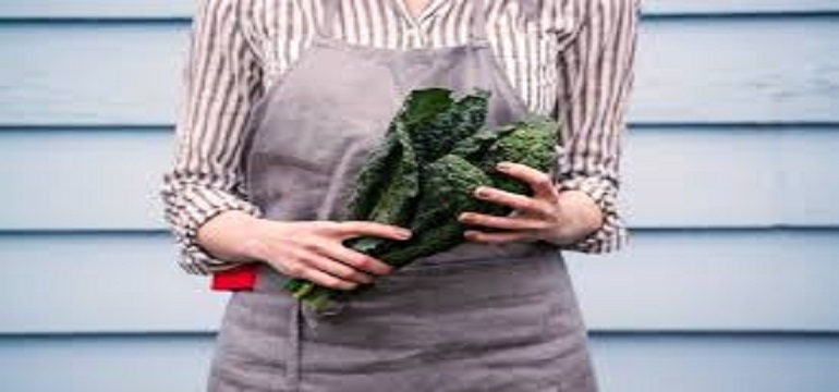 Tumis Sayur Kale Saus Tiram