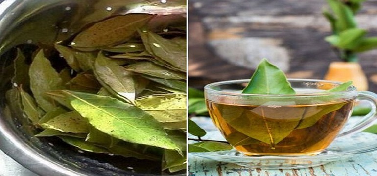 Resep Teh Daun Salam Pandan untuk Kolesterol dan Rematik